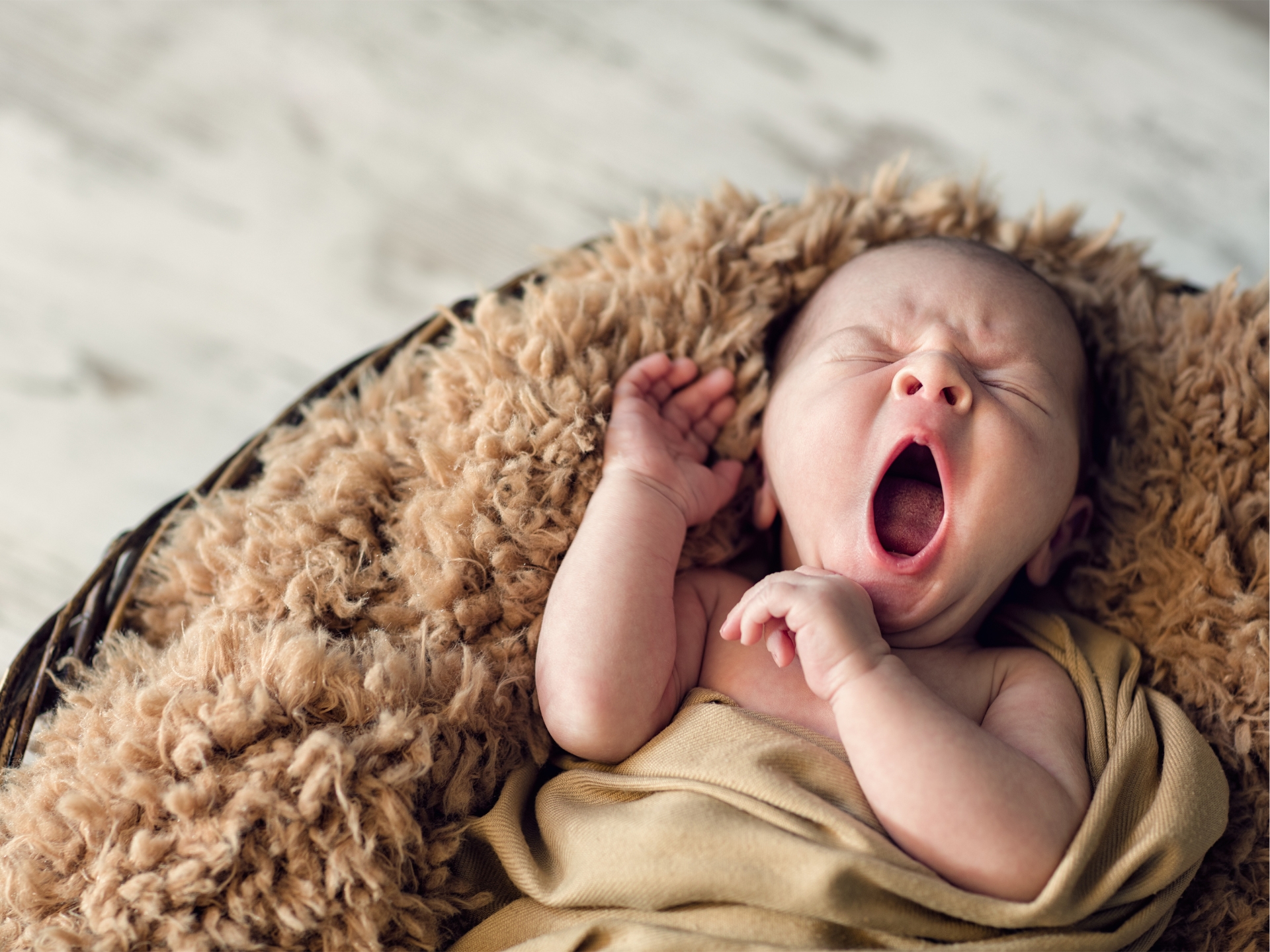 Taolyne Naissance - Massage femme enceinte et bébé, bain d'accueil, soin rebozo, réflexologie plantaire pédiatrique à Vierzon, Châteauroux, Bourges et Salbris.